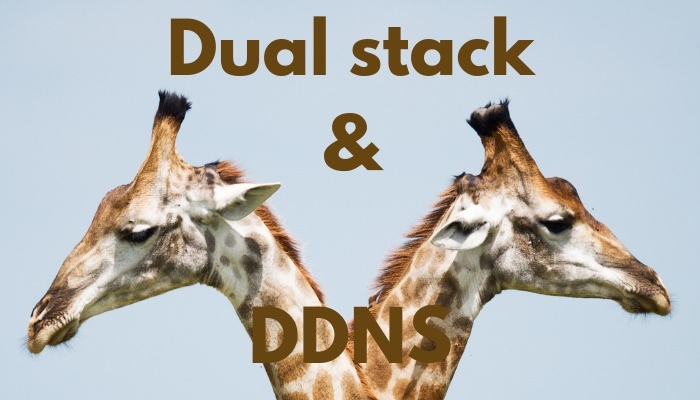 Graphic showing two giraffes facing opposite directions, with the text 'Dual stack and DDNS'
