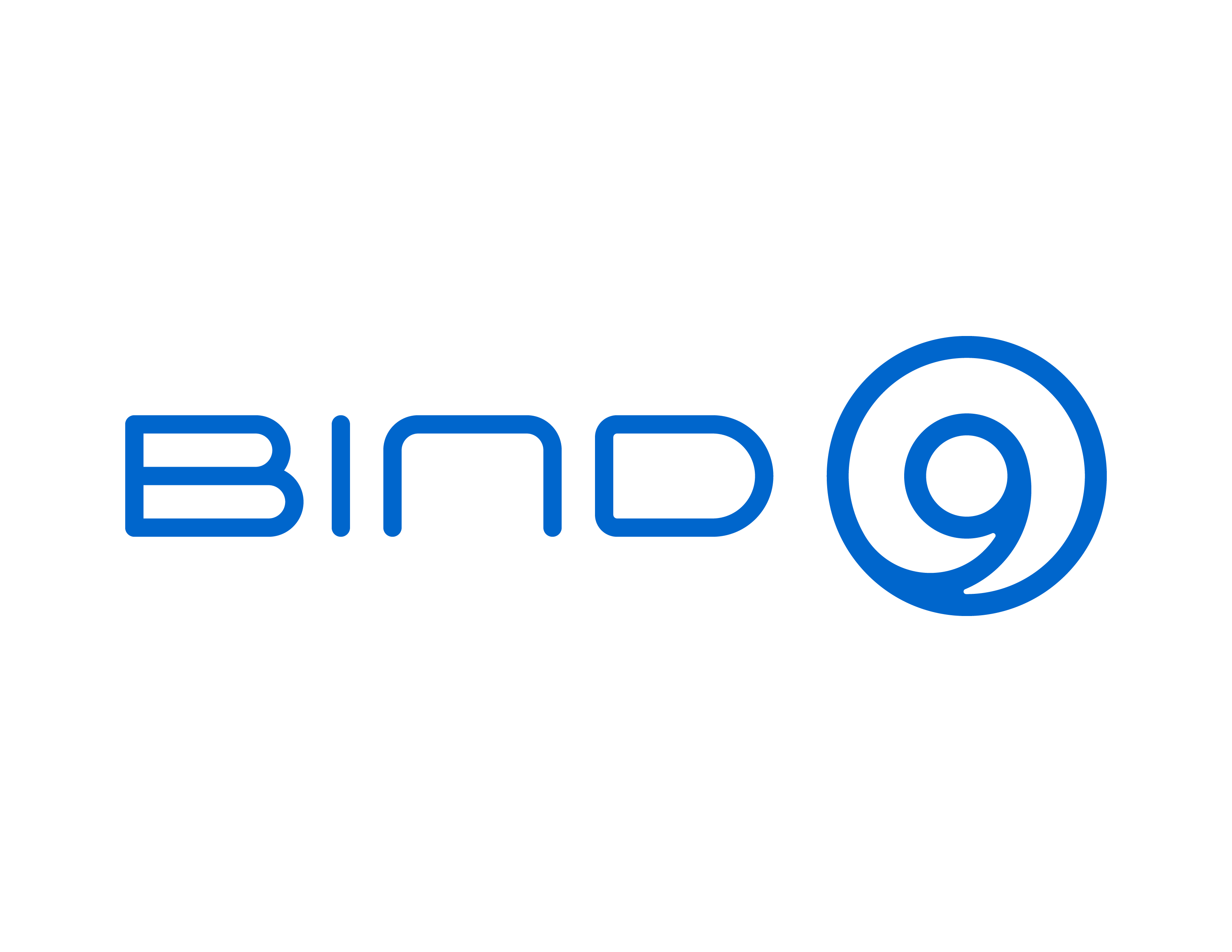 BIND 9 logo blue